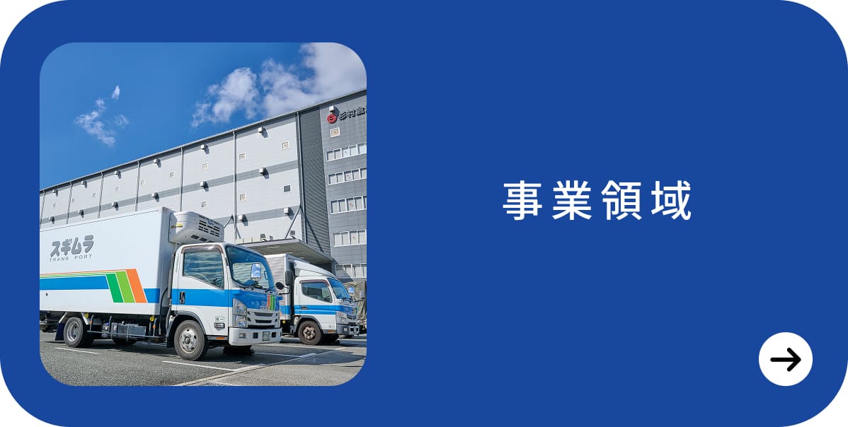 事業領域